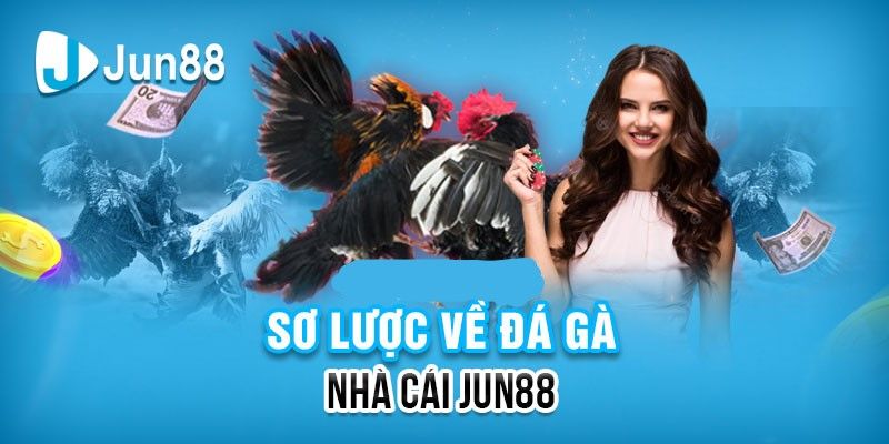 Đá gà Tổng quan đá gà online
