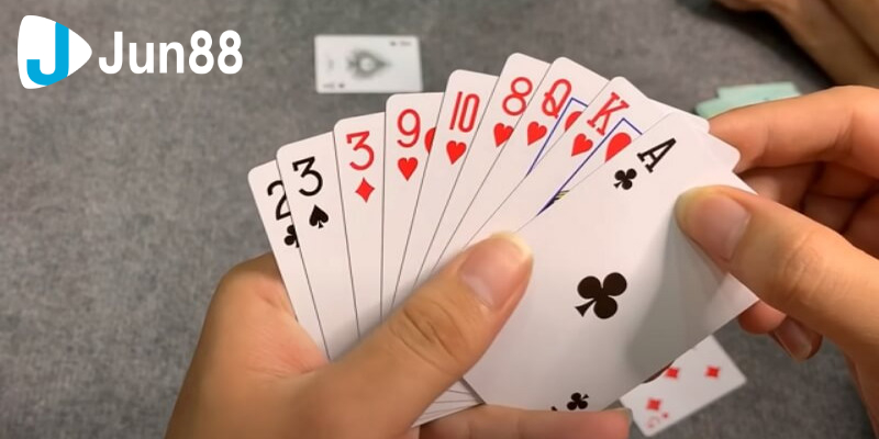 Trong bộ bài Tây heo đỏ có tầm quan trọng như thế nào?