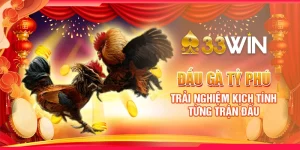 Đấu Gà Tỷ Phú: Trải Nghiệm Kịch Tính Từng Trận Đấu