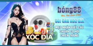 soi cầu xóc đĩa