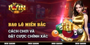 Bao Lô Miền Bắc - Cách Chơi Và Đặt Cược Chính Xác Mỗi Ngày