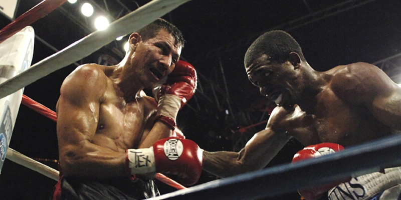 Tổng quan về cá cược boxing